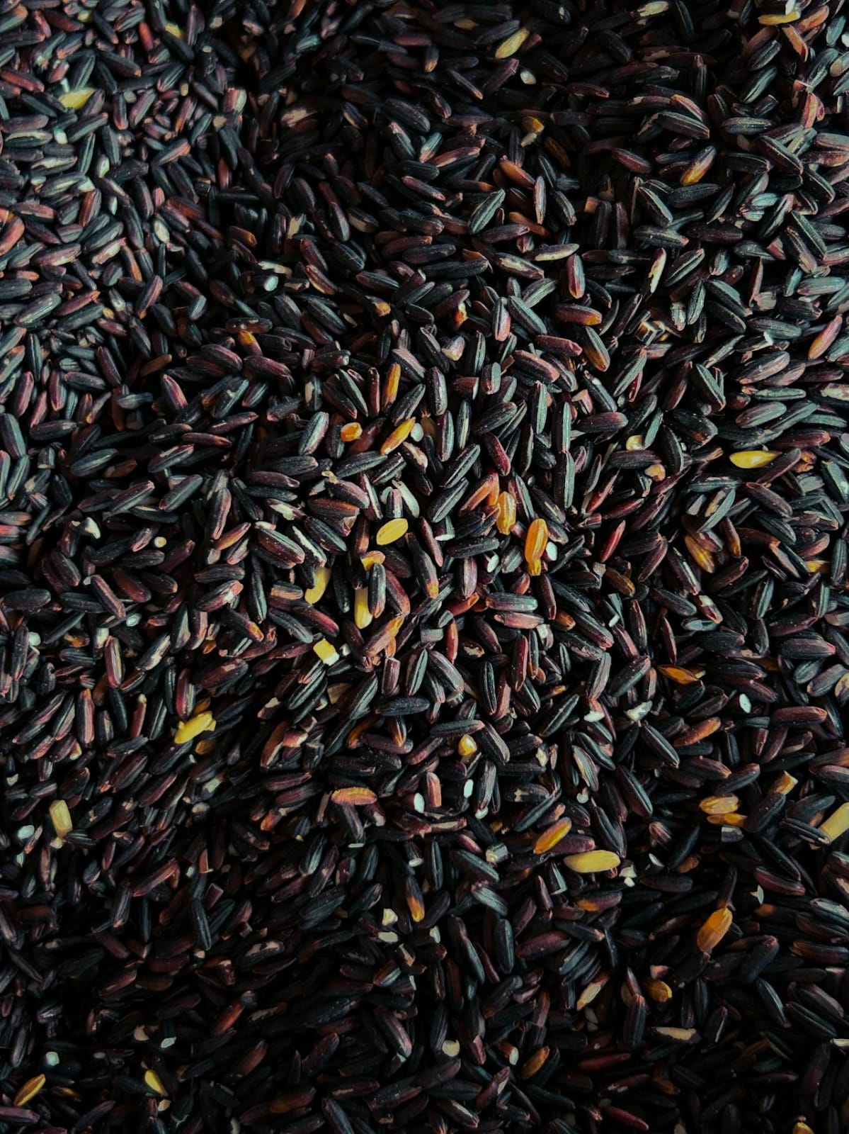 Black Rice